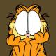 Garfield77 avatar